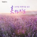 해밀여행 이미지