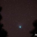 그란피코 이미지