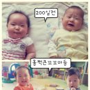 (+305)후기_쇠청경채옥수수,감자오이양파잡곡무른밥,잘먹구잘자는순딩이,가람누나놀러옴