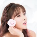 홍샵 이미지