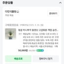 고급스러운 부모님 은퇴 선물 추천 &lt;다인식물원 청금 미니투각 동양난&gt; (환갑 선물/개업 축하 선물/승진...