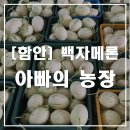 백자농장 이미지