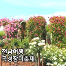 풍양중앙경로식당 | 2026 곡성장미축제 날짜 5월 22일 시작 입장료 가수 라인업 야간 한눈에 정리