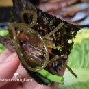 구룡포농업협동조합 | 겨울별미 구룡포 과메기, 겨울 제철 음식 포항 구룡포 농협 과메기 야채세트구성 후기