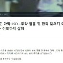 이와중에 열흘넘게 감감무소식인 자한당 홍정욱 전의원 딸내미 소식 이미지