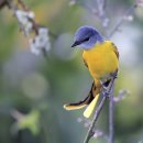 패브릭페인팅아트 이미지