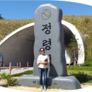 지리산인월송 이미지