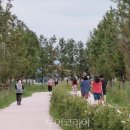 칠갑산황토펜션3 이미지