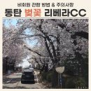 리베라파크 | 동탄 벚꽃 명소 리베라CC 방문 후기 / 비회원 드라이브스루 방법, 주차