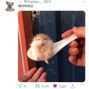 헤이HEY 이미지