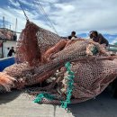 CW-2112-01 이미지