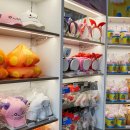 에스 앤 제이 스포츠 이미지