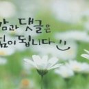 명랑시대속초 이미지