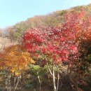반딧불이공원