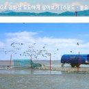 협동조합 꿈꾸는문화놀이터 뜻 | [협동조합 꿈꾸는 문화놀이터 뜻] 강화도 도도하게 살아보기