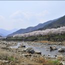 화개장터 이미지