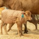 윤호축산 이미지