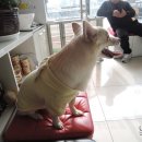 동현24시동물병원 이미지