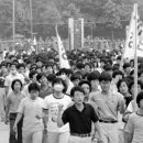 박용만 농장 이미지