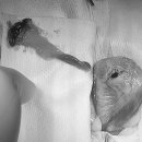 24시 양주 힐 동물의료센터 이미지