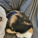 별이랑 놀자 이미지