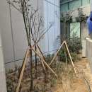 (주)수목건설 이미지