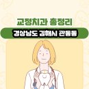 관동치과의원 | 경상남도 김해시 관동동 교정치과 총정리