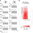 Pressure pain threshold map of thoracolumbar paraspinal muscles after lengt 이미지