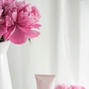 MY DOG GROOMING 이미지