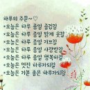 이노티안경원 고척시장점 이미지