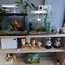 남이면 면사무소 이미지