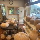 솔매기식당 이미지