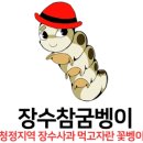 장수 참굼벵이 이미지