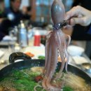 참피온낚시 이미지