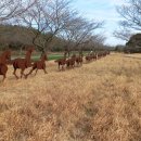 유유자적 이미지