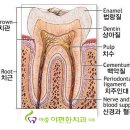 아중이편한치과 네이버블로그