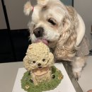 두몽언니 이미지