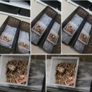 에그메이트 | 전 오늘] # 반려 동물 _ 레오파드 게코 선글로우 5차 산란 알 클러치 메이트 헤츨링 부화 후기 일지 기록