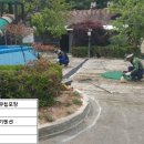 용인나무이야기 이미지