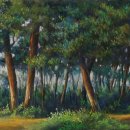 소나무숲 이미지