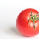 토마토 이미지
