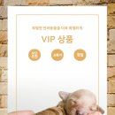 위드몽 이미지