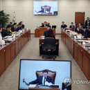 탄세