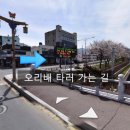 남천교~밀양교 이미지