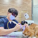 주주동물종합병원 이미지