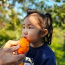 산남스테이 이미지