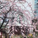 양정현대유치원 이미지