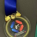 세종체육도장 이미지