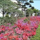 서산초등학교 이미지
