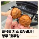 호두당 | 양주 옥정 호두당 | 큼직한 크기의 리얼치즈 호두과자 추천 (내돈내산 틈새후기)